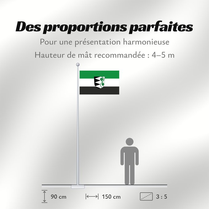 Proportions du drapeau : Rohrbach (Oberbayerns Städte)