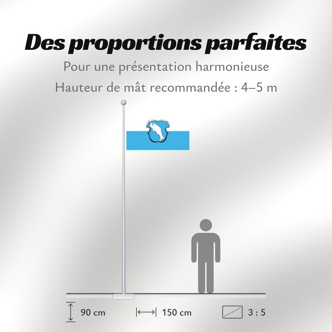Proportions du drapeau : Seeshaupt (Pfaffenwinkel)