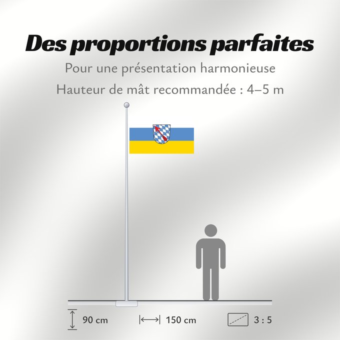 Proportions du drapeau : Schönberg, M (Bayerischer Wald)