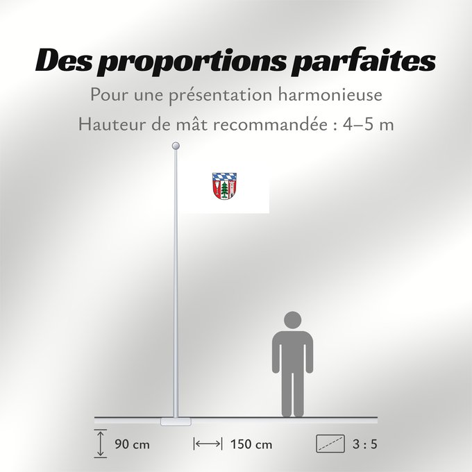 Proportions du drapeau : Regen (Kreis)