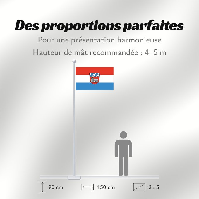 Proportions du drapeau : Cham (Kreis)
