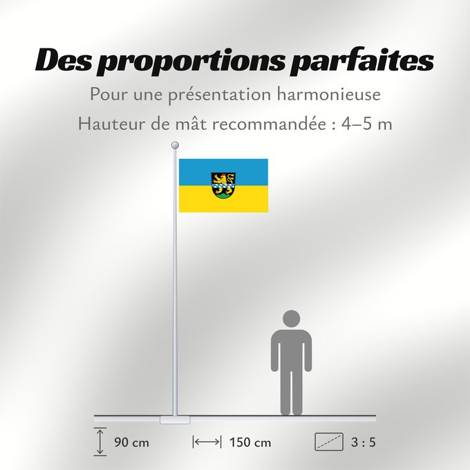 Proportions du drapeau : Pleystein, St (Oberpfälzer Wald)