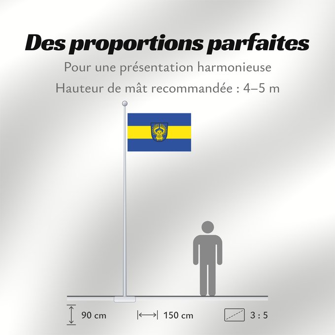 Proportions du drapeau : Alteglofsheim (Bayerisches Golf- und Thermenland)