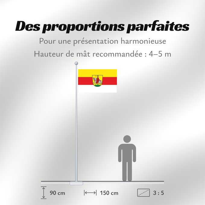 Proportions du drapeau : Hollfeld, St (Fränkische Schweiz)