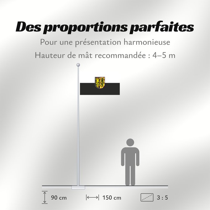 Proportions du drapeau : Hof (Kreis)