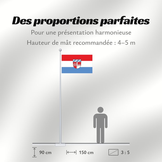Proportions du drapeau : Miltenberg (Kreis)