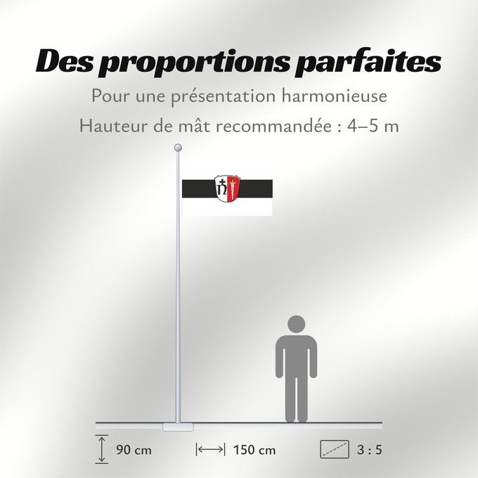 Proportions du drapeau : Neustadt a.Main (Spessart-Mainland)