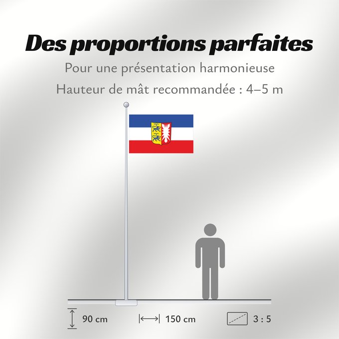 Proportions du drapeau : Schleswig-Holstein