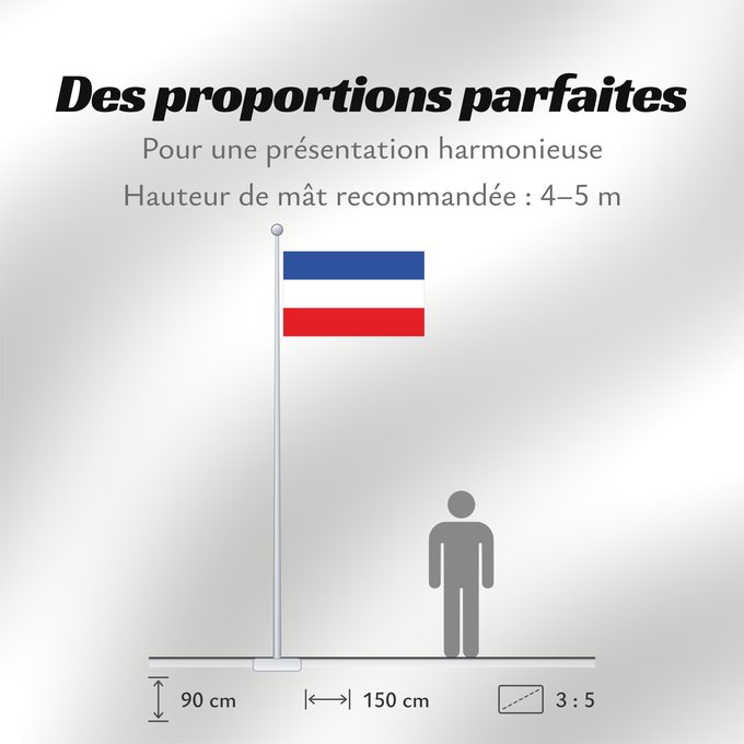 Proportions du drapeau : Schleswig-Holstein