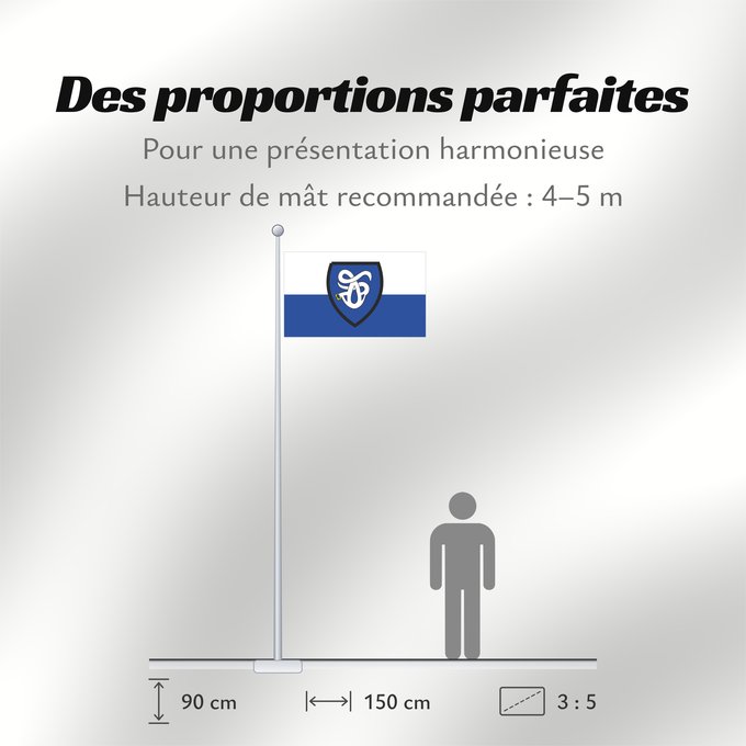 Proportions du drapeau : HalternW	Haltern am See	Beschreibung der Flagge  Der Stadt Haltern am See ist ferner mit Urkunde des Regierungspräsidenten Münster vom 5. November 1975 das Recht zur Weiterführung einer Flagge verliehen worden
