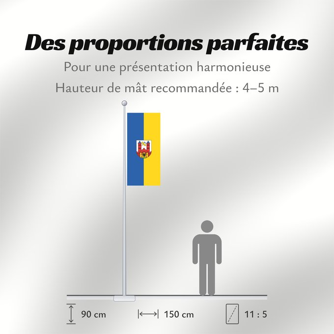 Proportions du drapeau : Suhl