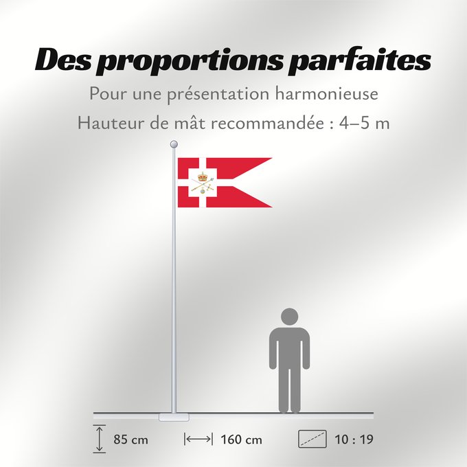 Proportions du drapeau : Standard of the Regent of Denmark	Étendard du Régent du Danemark	Estandarte del Regente de Dinamarca	Standarte des Reichsverwesers von Dänemark	Stendardo del Reggente di Danimarca	Rigsforstanderflaget