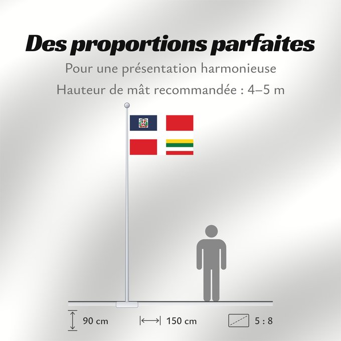 Proportions du drapeau : Army Flag of the Dominican Republic	Ejercito dominicano- flag of the dominican army