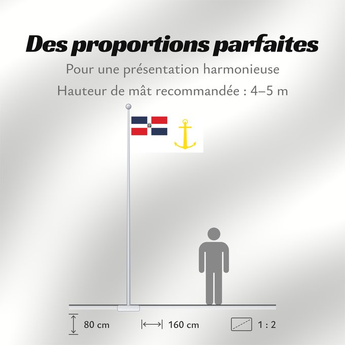 Proportions du drapeau : Presidential Standard of the Dominican Republic At Sea Presidential Standard of the Dominican Republic (At Sea) Étendard présidentiel de la République Dominicaine (en mer) Estandarte Presidencial de la República Dominicana (en el mar) Präsidentenstandart