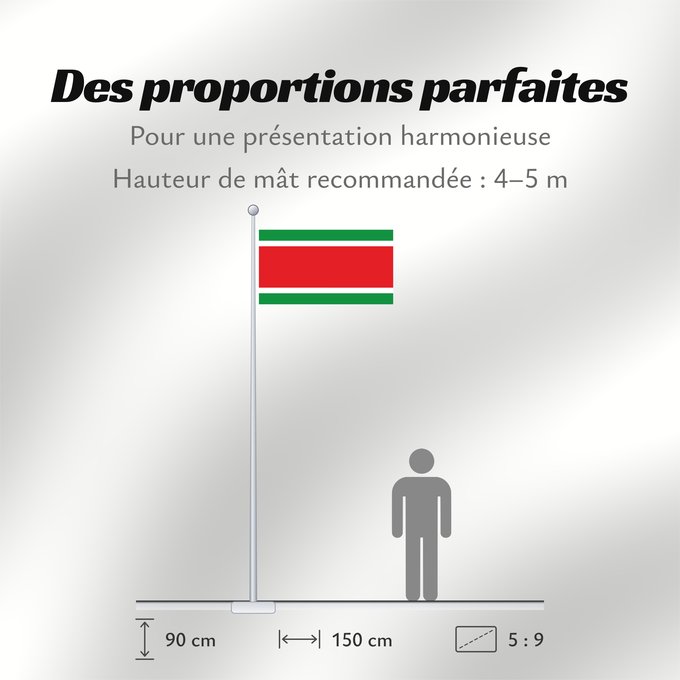 Proportions du drapeau : Algeria 1700 A historical flag of Algeria, around 1700 L un des drapeaux historiques de l Algérie alentours de 1700 Argelia (1700) Algerien (1700) Algeria (1700)