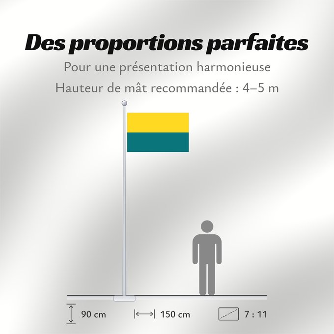 Proportions du drapeau : Et-Narva	Narva