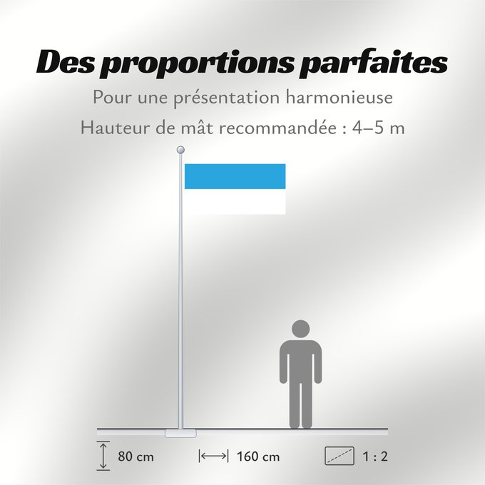 Proportions du drapeau : Et-Viljandi	Viljandi