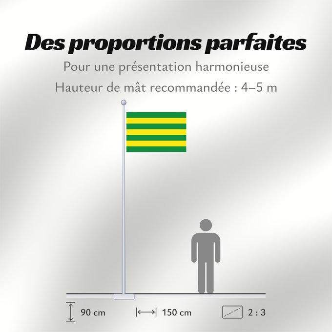 Proportions du drapeau : Nissi Municipal flag of Nissi Estonia