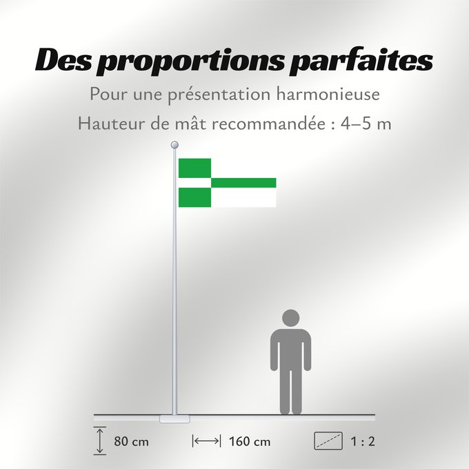 Proportions du drapeau : Paide lipp Paide Paide town - Estonia. 2 1