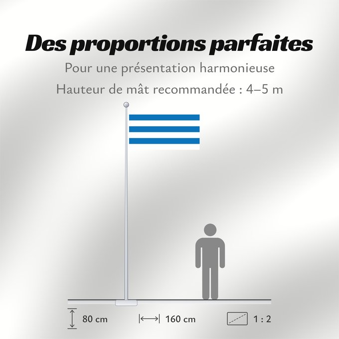 Proportions du drapeau : Tallinn Tallinn, Estonia Tallin Stadt Tallinn ehemaliges Reval , Estland Tallinna lipp