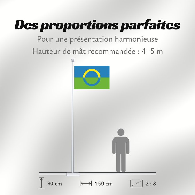 Proportions du drapeau : Võros old proposal Võros unofficial proposal Võros (proposition non officielle) Võros (propuesta no oficial) Võros (inoffizieller Vorschlag) Võros (proposta non ufficiale)