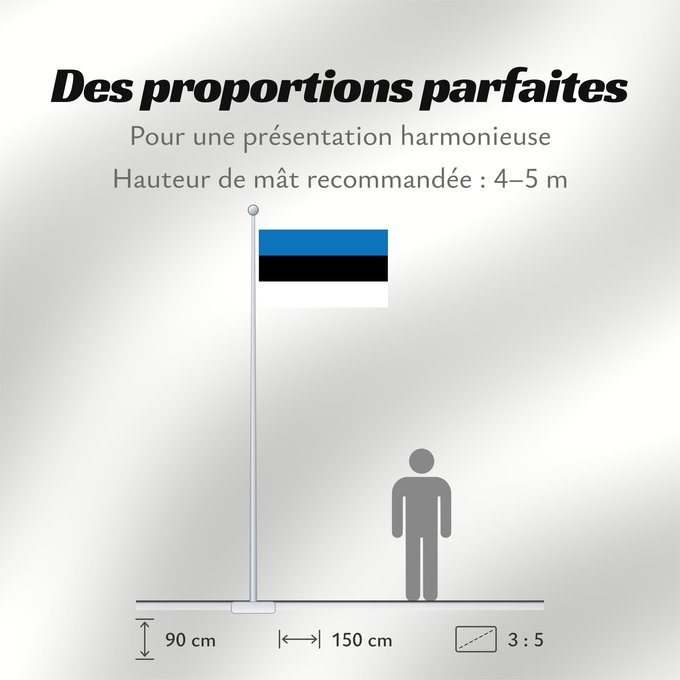 Proportions du drapeau : Estonia	L Estonie	Estland	Estone	Estónia	Estonii	Сцяг Эстоніі	Национално знаме на Естония	Estonská vlajka	Σημαία της Εσθονίας	Eesti lipp	پرچم کشور استونی	Viron	HEastóine	Észtország	エストニアの国旗	ესტონეთის დროშა	Estijos	Igaunijas	Знаме на Естонија	Estoniei	Флаг