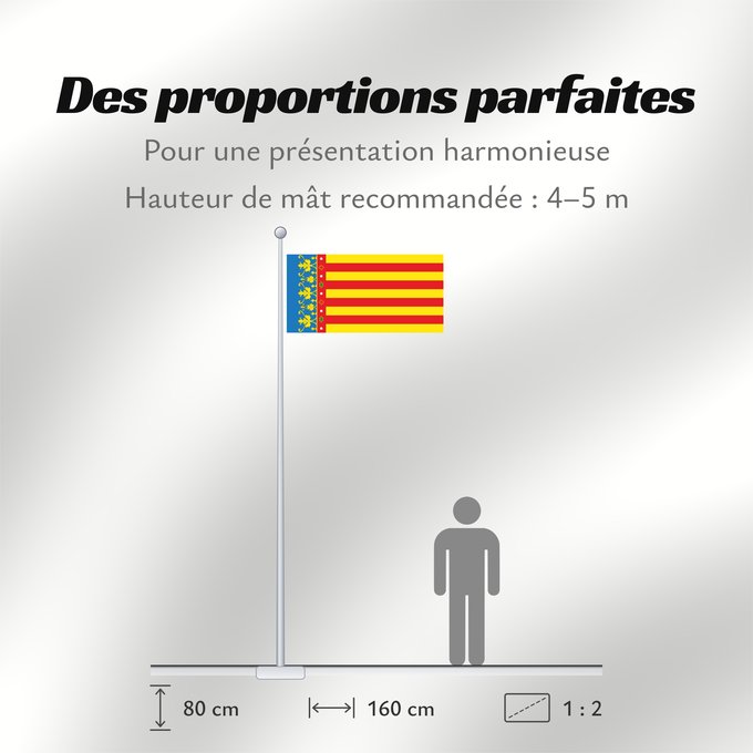 Proportions du drapeau : Land of Valencia official Land of Valencia, 1 2 ratio Valencia Community Comunidad Valenciana, proporciones 1 2 Valencian Community Comunità Valenciana D o Comunidat Balenziana Comunidá Valenciana Comunitat Valenciana, proporcions 1 2 Valentziako Erkideg