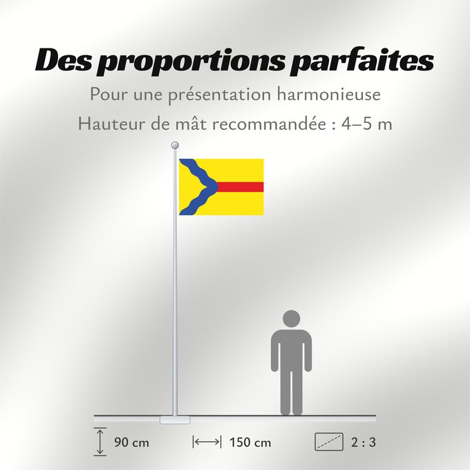 Proportions du drapeau : Asín	Municipal de Asín - Zaragoza - España