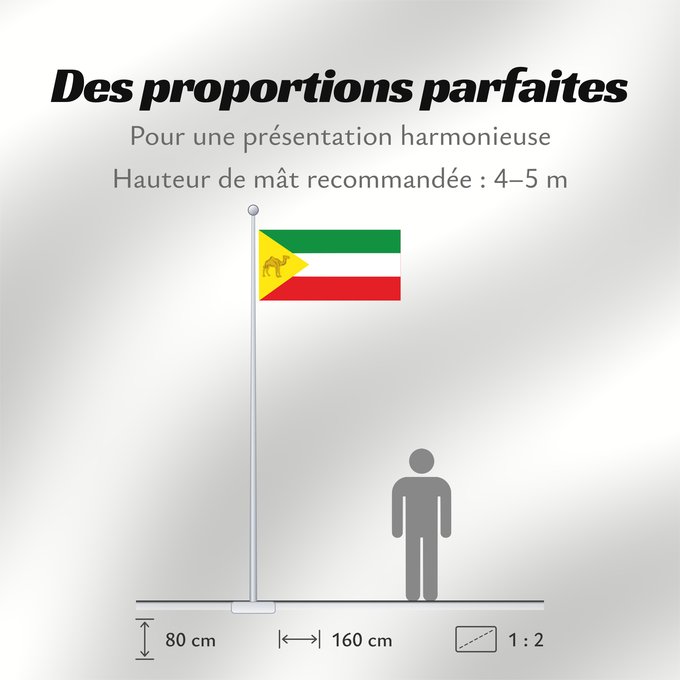 Proportions du drapeau : Somali Region	Regione di Somali, Etiopia	Retió Somali, Etiòpia