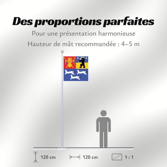 Proportions du drapeau : Länsi-Suomen lääni