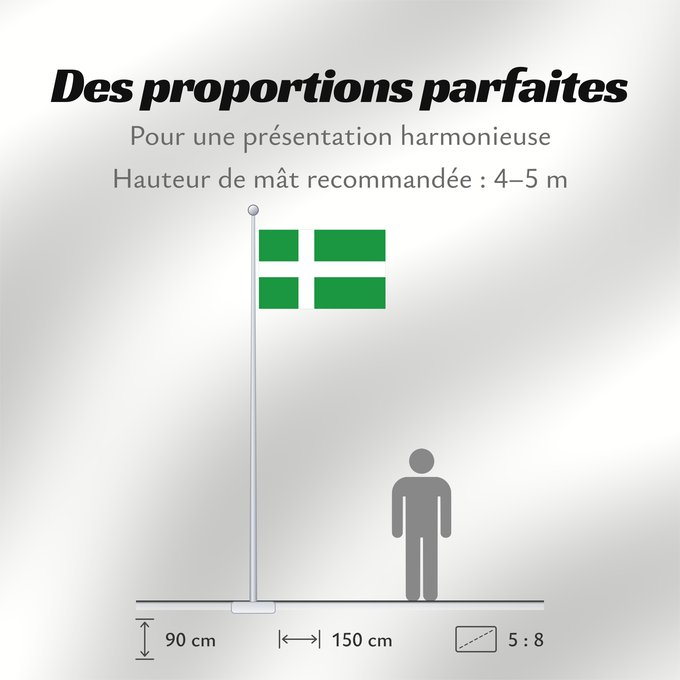 Proportions du drapeau : Sami people unofficial Sami people unofficial - the colours green and white