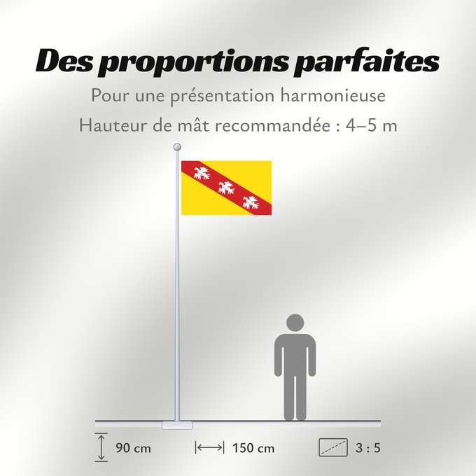Proportions du drapeau : Lorraine	Region Lorraine in France	Région Lorraine en France	Lorena 	Lorena