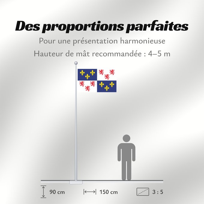 Proportions du drapeau : Picardie	Region Picardie in France	Région Picardie en France	Picardo	Picard