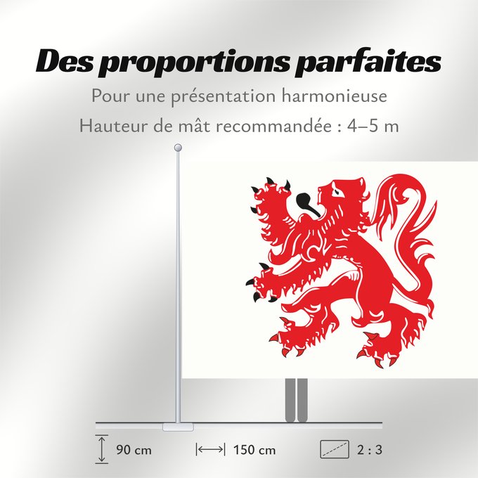 Proportions du drapeau : Armagnac Armañac