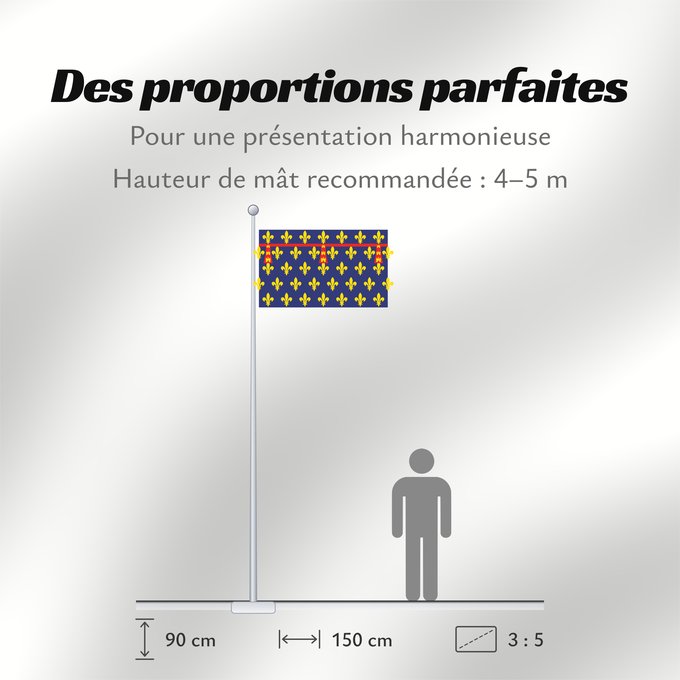 Proportions du drapeau : Artois Region Artois in France Région Artois en France L antiga provincia d Artois