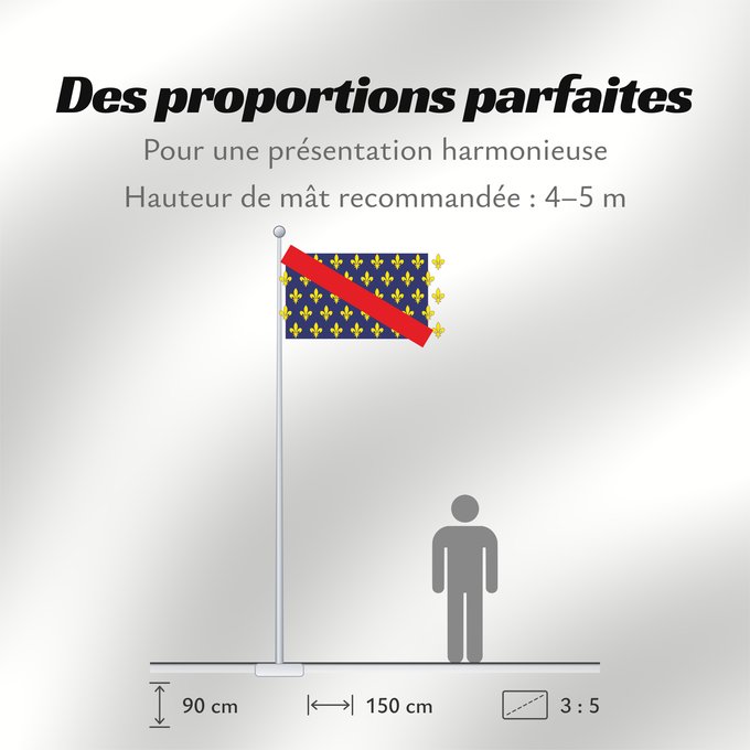 Proportions du drapeau : Bourbonnais French province of Bourbonnais Borbonés Borbonnais