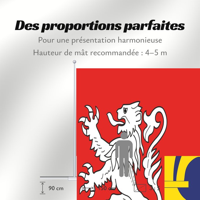 Proportions du drapeau : Maine province Region Maine in France Région Maine en France Maine (provincia) Maine (Provinz)