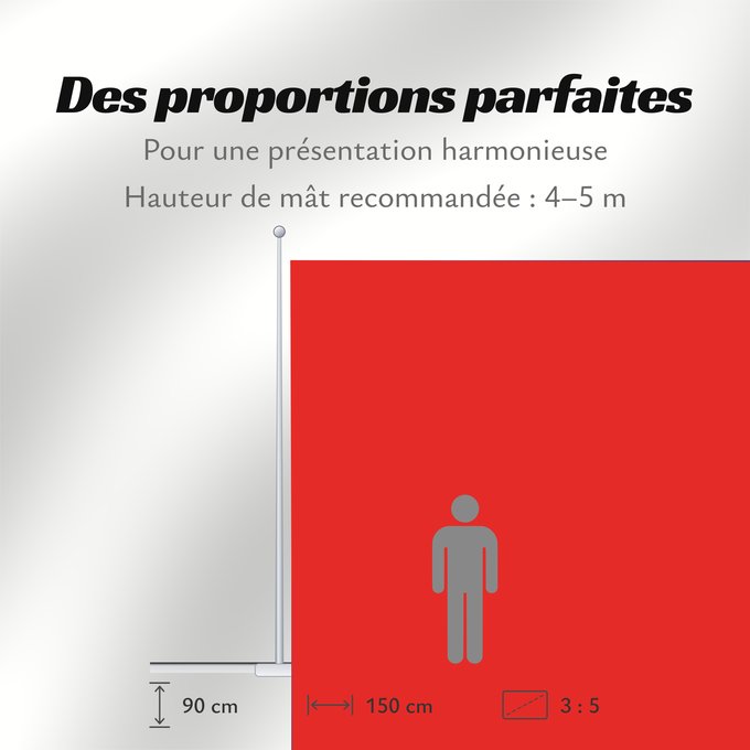 Proportions du drapeau : Marche province Region Rhône-Alpes in France Région Rhône-Alpes en France