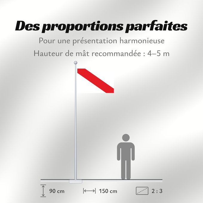 Proportions du drapeau : Strasbourg Estrasburgo Straßburg Strasburgo