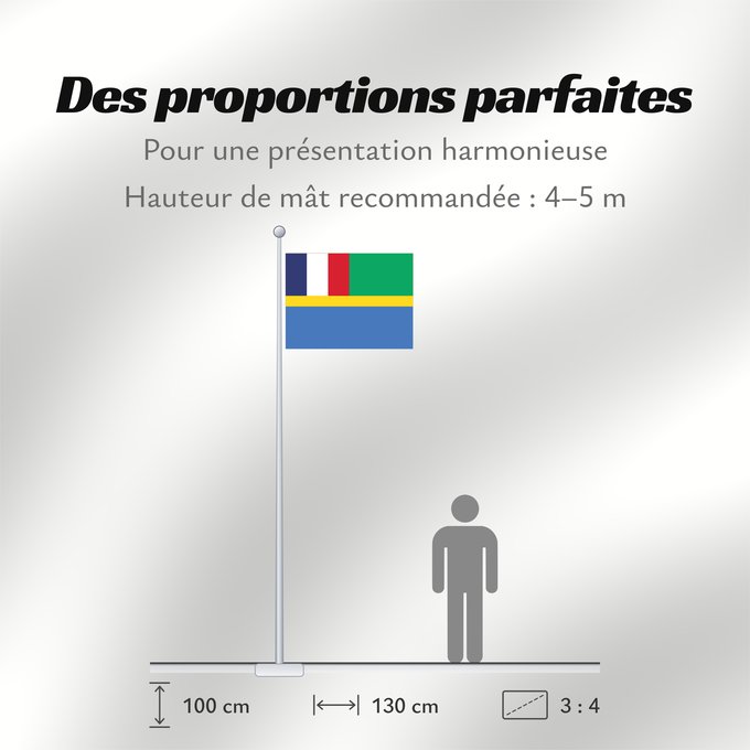 Proportions du drapeau : Gabon 1959-1960	Gabon, 1959-1960	Gabão, 1959-1960	Banniel Gabon, 1959-1960	Gabono, 1959-1960	Gabongo bandera, 1959-1960	Drapél du Gabon, 1959-1960	Dalapo ya Ngabu, 1959-1960	Bɛndɛ́lɛ ya Gabɔ́, 1959-1960	Флаг Габона, 1959-1960