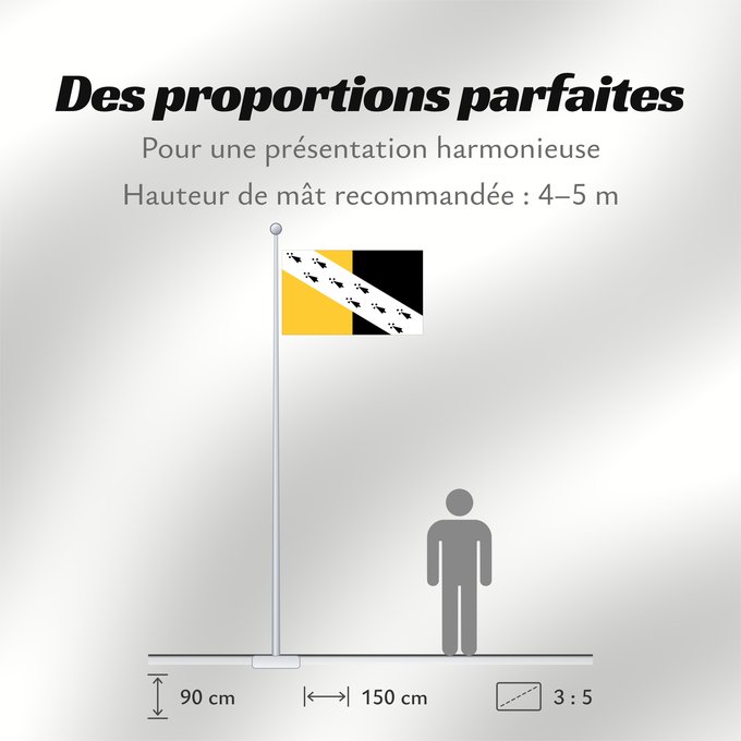 Proportions du drapeau : Norfolk