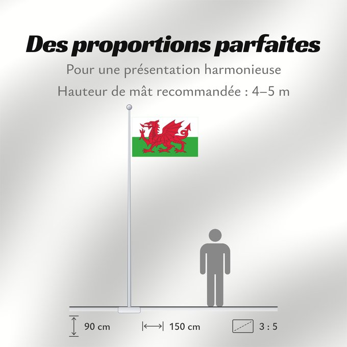 Proportions du drapeau : Wales 2	Wales	Pays de Galles	Gales	Wale	Galles	Walii	Wīelisc Fana	علم ويلز	Banniel Kembre	Cymru	Galesko bandera	Walesin	Breataine Bige	Brattag Vretin	Walesa	Kembra	Valliae	Знаме на Велс	Couleu de Galles	Флаг Уэльса	Прапор Уельсу