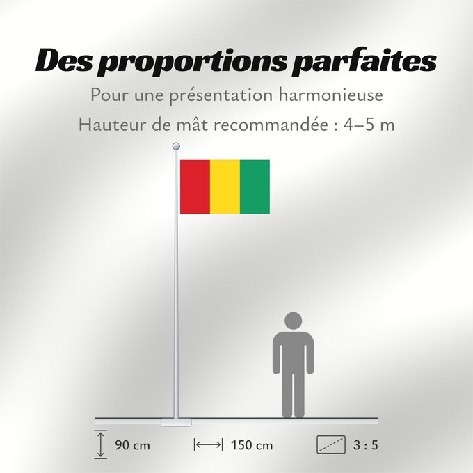 Proportions du drapeau : Guinea	Guinée