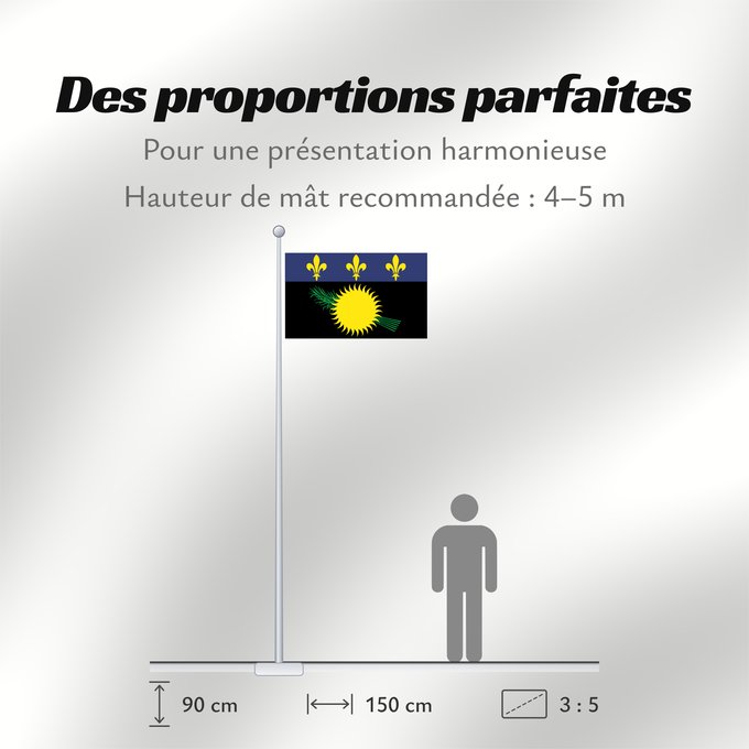 Proportions du drapeau : Unofficial flag of Guadeloupe  local	Unofficial local flag of Guadeloupe	Guadeloupe	Guadalupe. Uso no oficial	Guadalupa