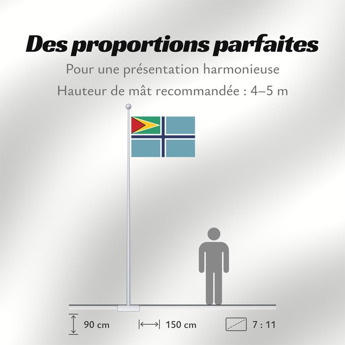 Proportions du drapeau : Civil Air Ensign of Guyana