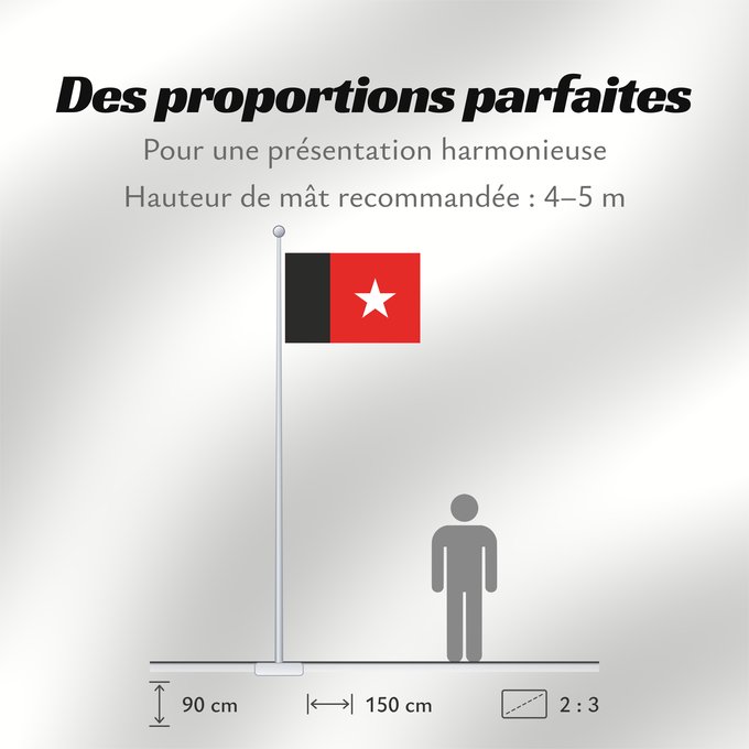 Proportions du drapeau : Republic of Independent Guyana 1887-1904 Republic of Independent Guyana between 1887 - 1904 République indépendante de Guyane 1887-1904 República Independiente de Guayana (1887-1904) Republik Unabhängiges Guyana (1887-1904) Repubblica Indipendente della