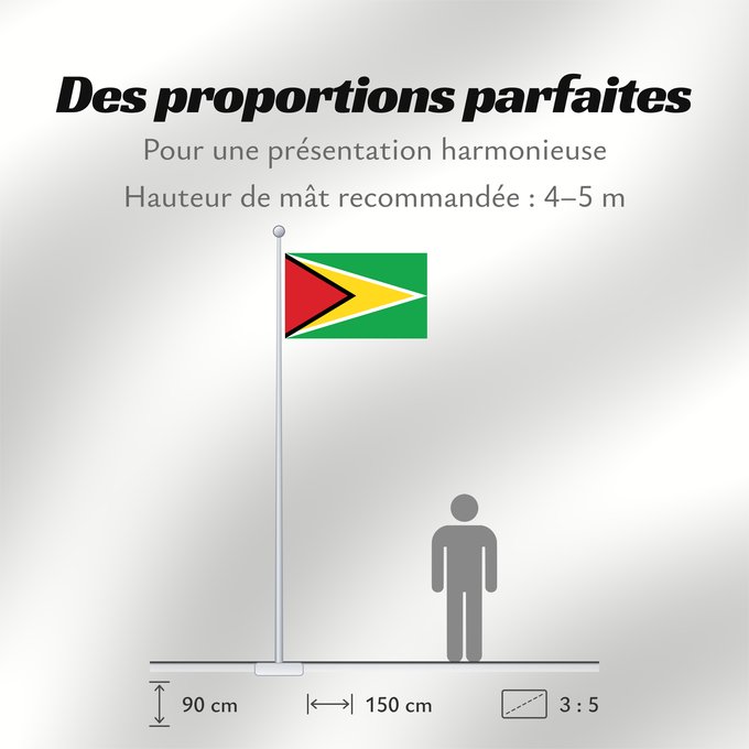 Proportions du drapeau : Guyana Guiana Wayana wiphala Gujano Gwayana Wayana unancha Флаг Гайаны Guyanas Quốc kỳ Guyana