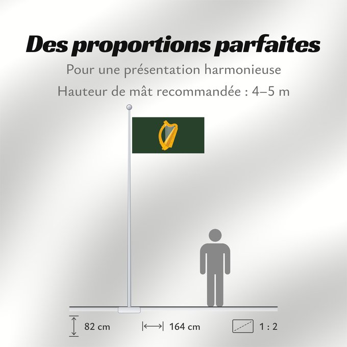 Proportions du drapeau : Leinster W Leinster