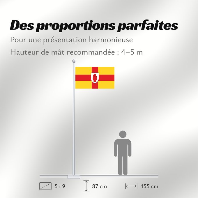 Proportions du drapeau : Ulster	Ulster  heraldic banner of traditional coat of arms of the province	Úlster 