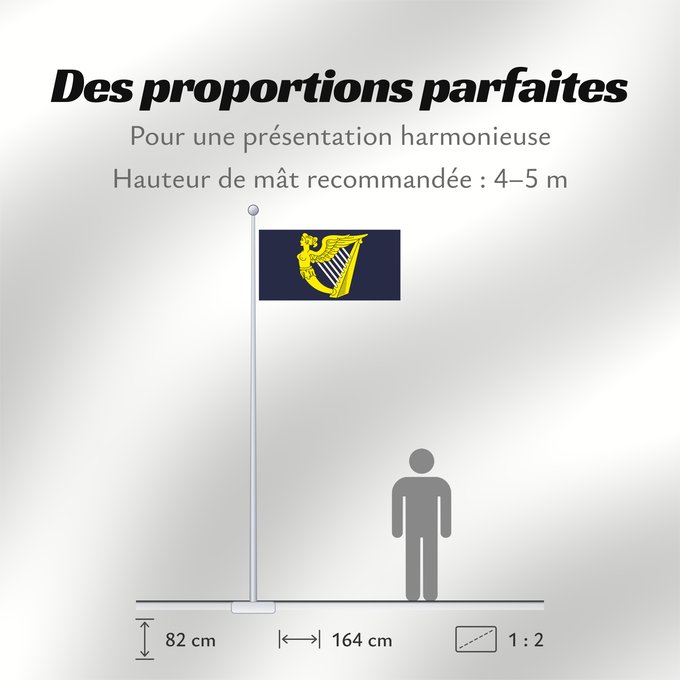 Proportions du drapeau : Blue winged-maiden harp	Royal Standard of the United Kingdom (third quartering)	Étendard royal du Royaume-Uni (troisième quartier)	Estandarte Real del Reino Unido (tercer cuartel)	Königsstandarte des Vereinigten Königreichs (drittes Viertel)	Stendardo Rea